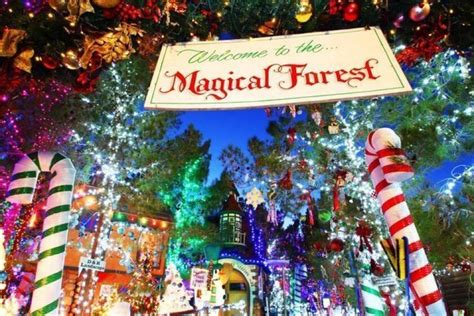 A Magical Christmas Experience Awaits at Magicao Forrst in Las Vegas